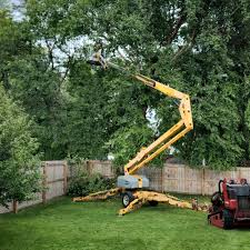 Best Lawn Pest Prevention  in Valinda, CA